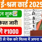 E-Shram Card List